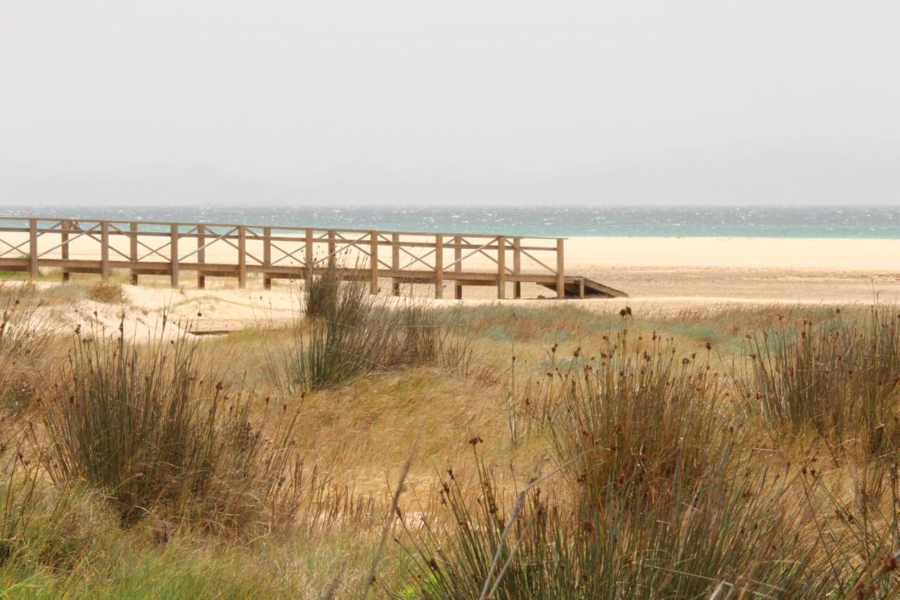 Los Lances Tarifa - Piscina Y Patio المظهر الخارجي الصورة